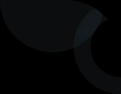 vector image