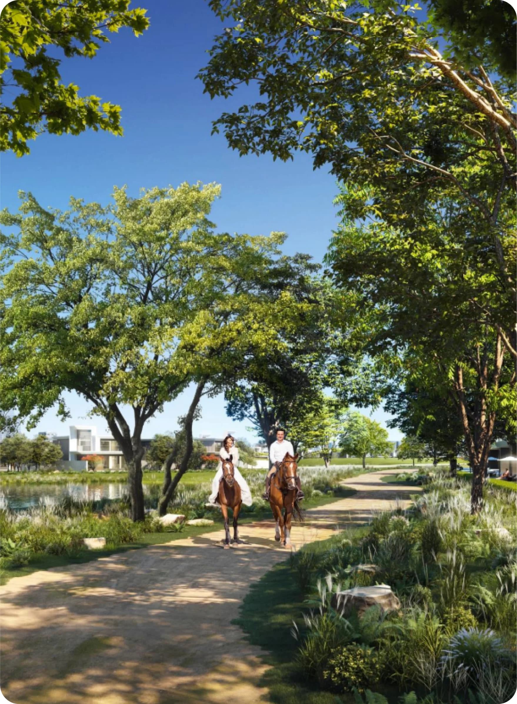 Two people horseback riding on a tree-lined path