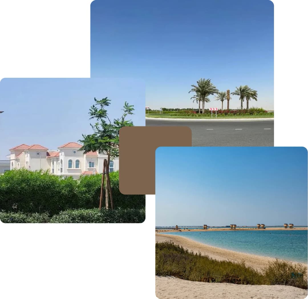 Residential area with clear skies, palm trees, and beach
