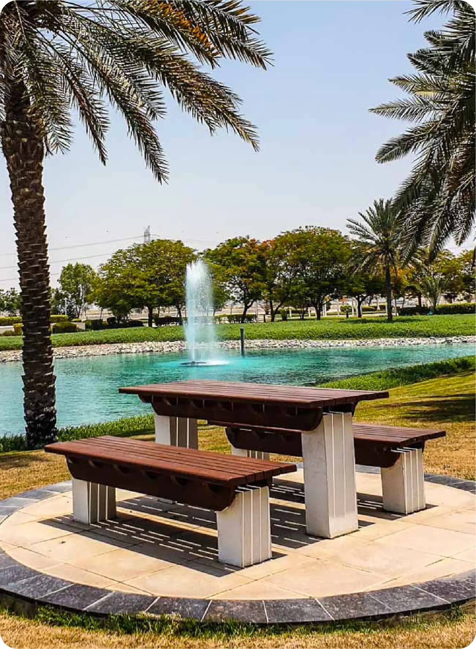 Wooden picnic table by a fountain with palm trees