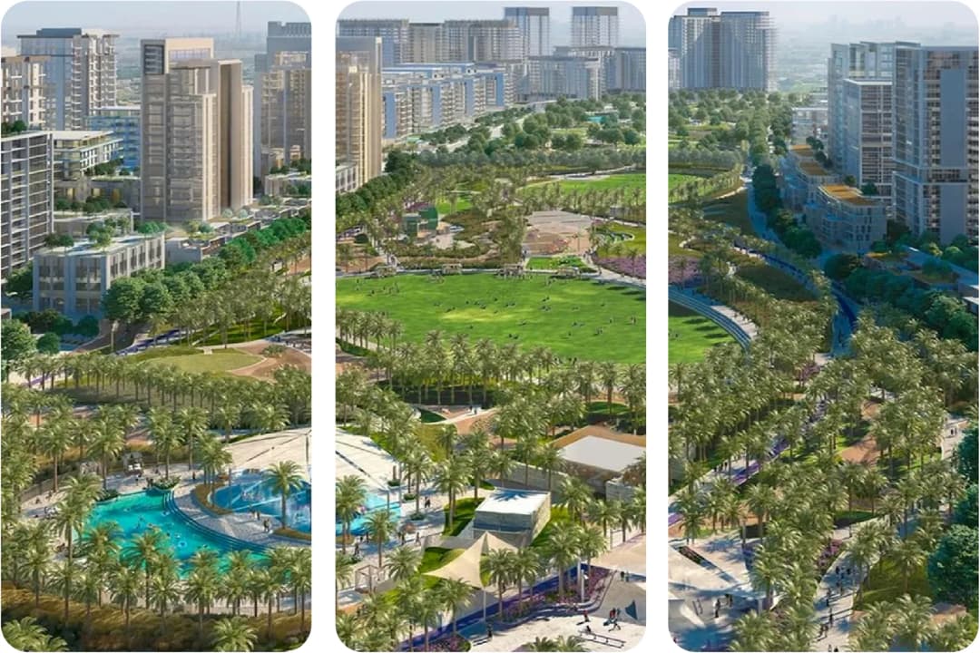 Lush green park with palm trees in a city
