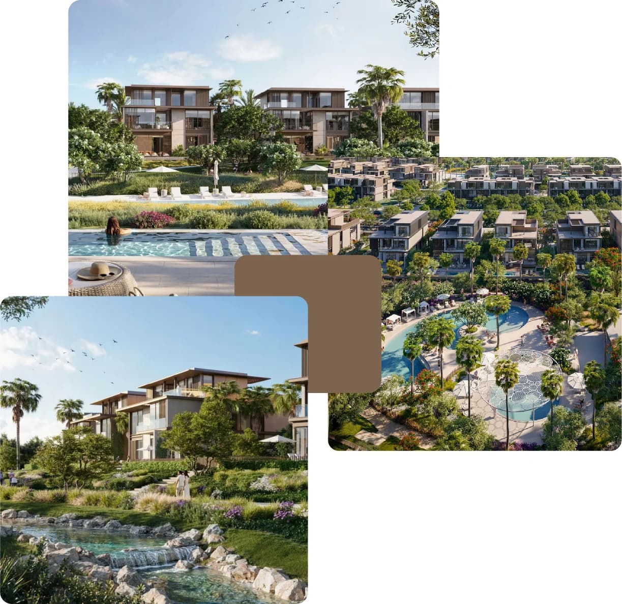 Modern villas with private pools in a tropical garden setting
