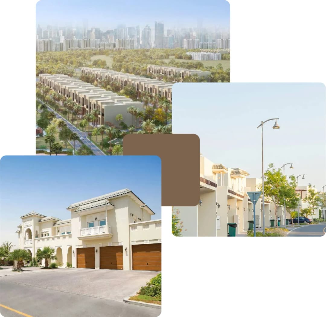 Suburban homes lined on green peaceful streets