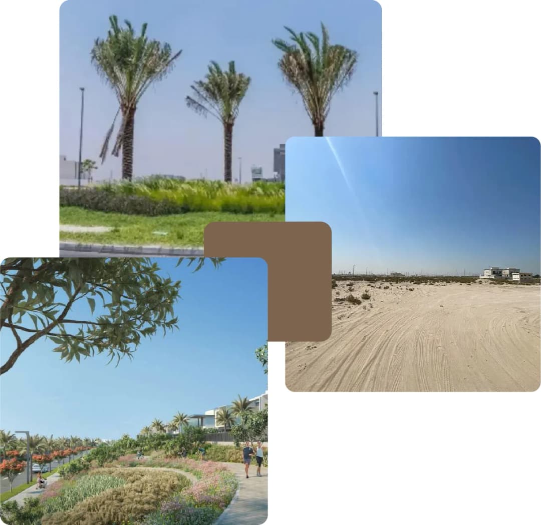 Palm trees, desert landscape, and lush green garden path