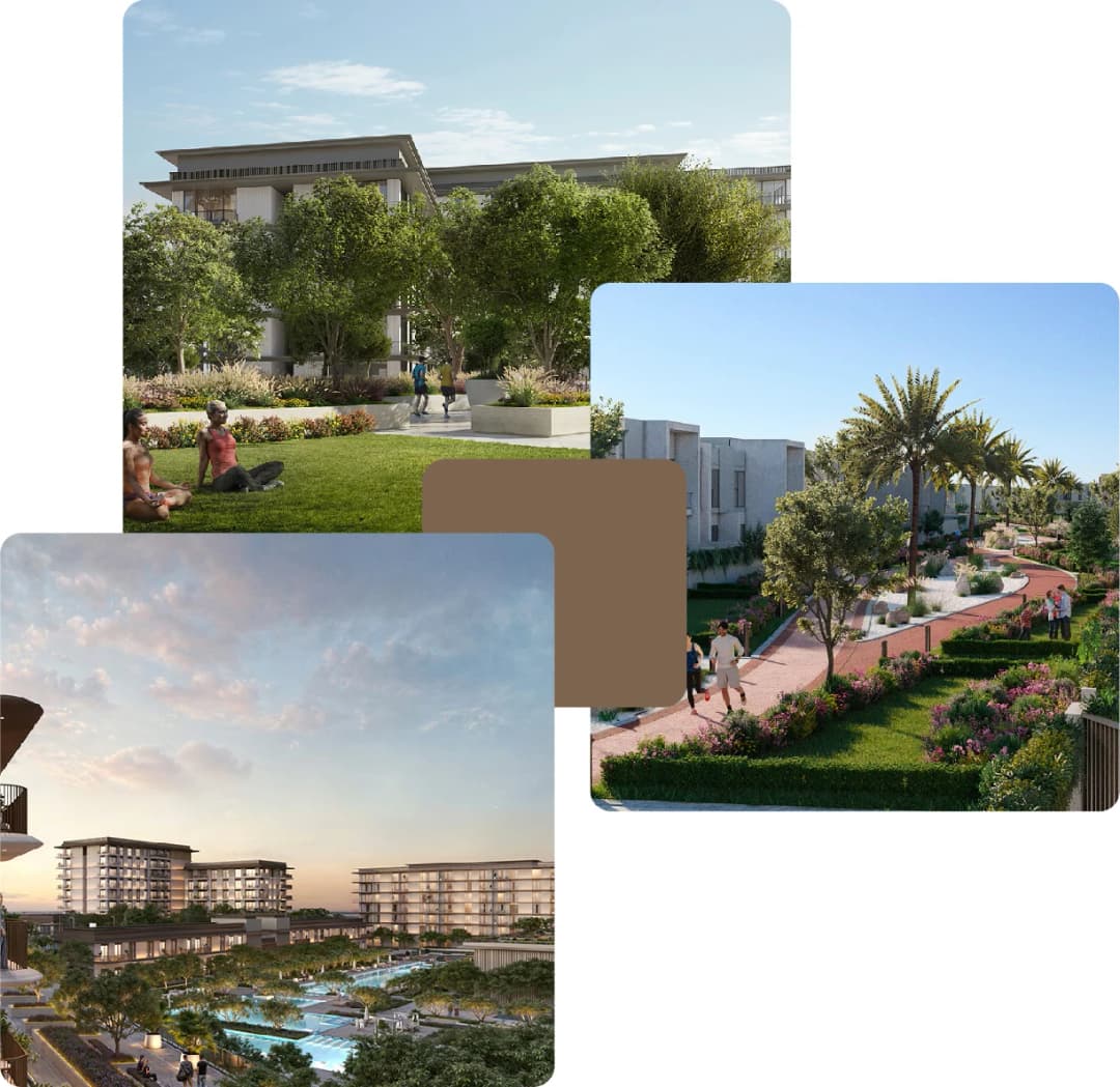 Residential area with palm trees and modern homes