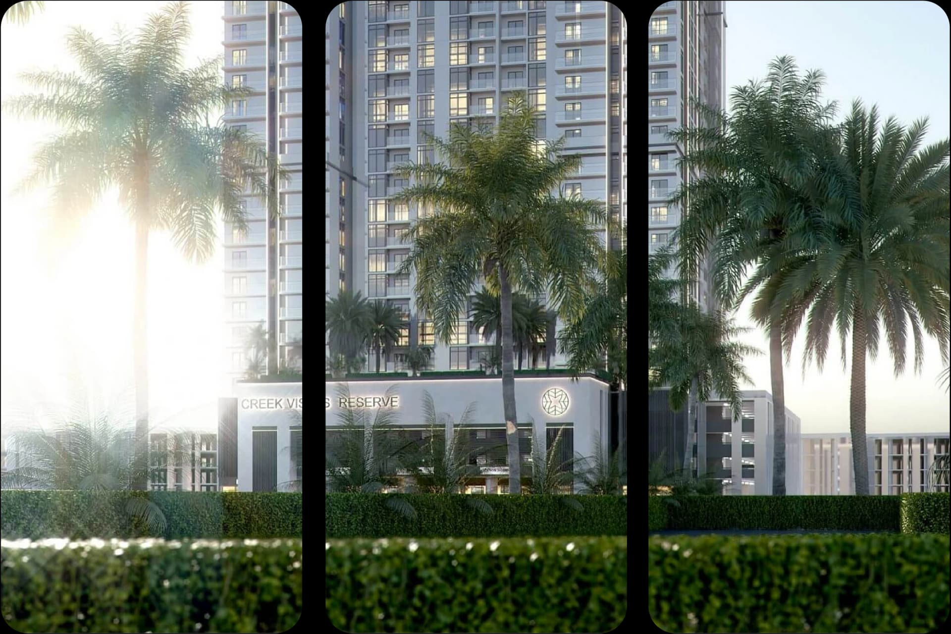 ناطحة سحاب حديثة مع أشجار النخيل في كريك فيستاس