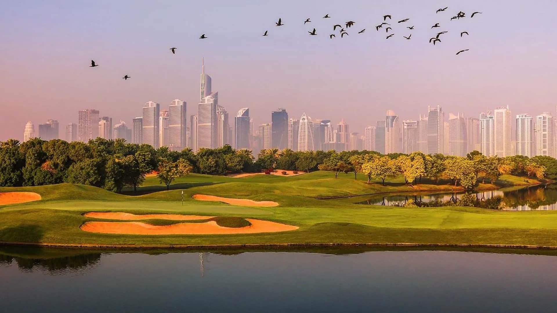 Buying a Property in Emirates Hills: Step-by-Step Guide for Investors