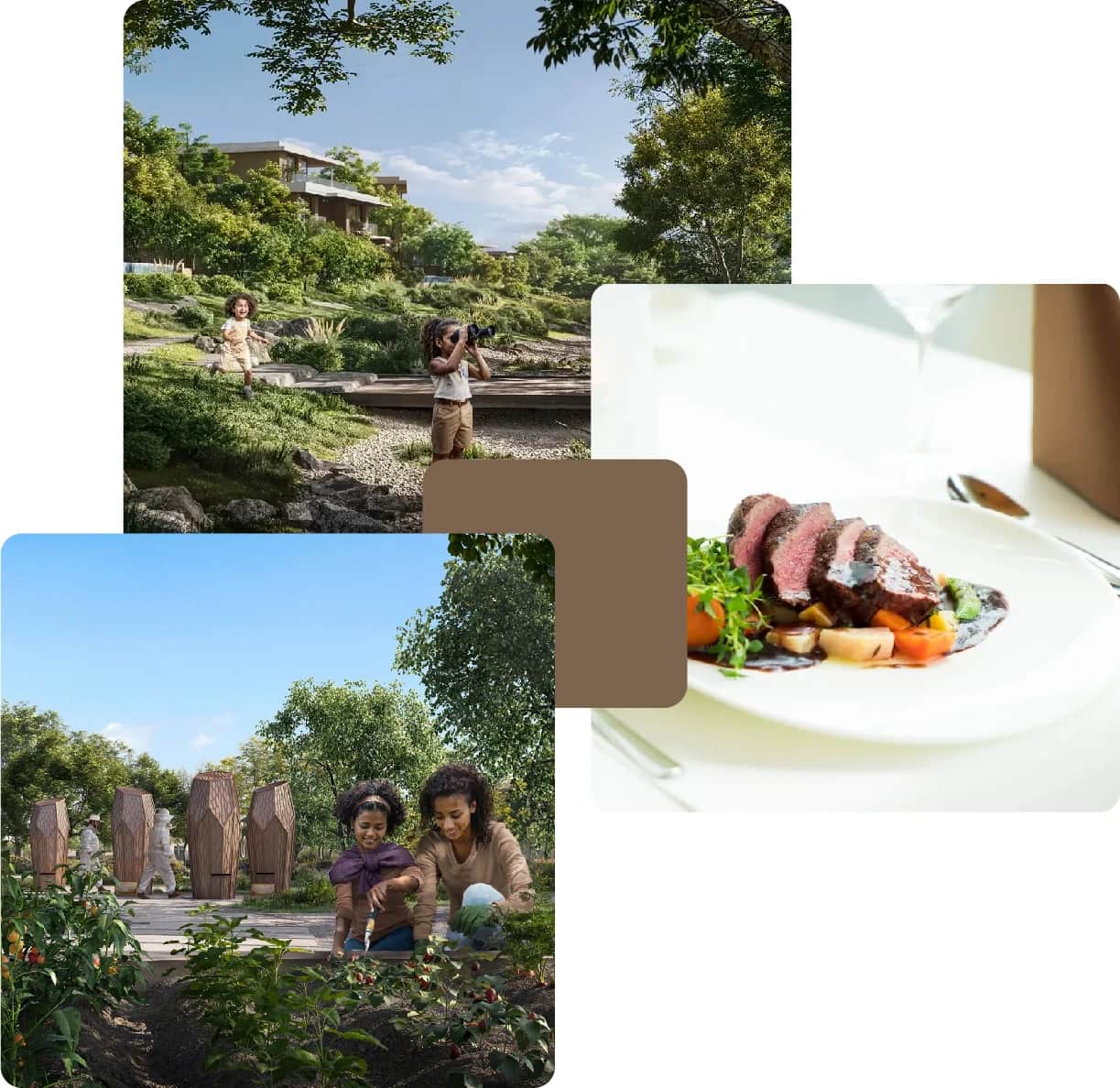 Photography, gardening, and gourmet plated steak