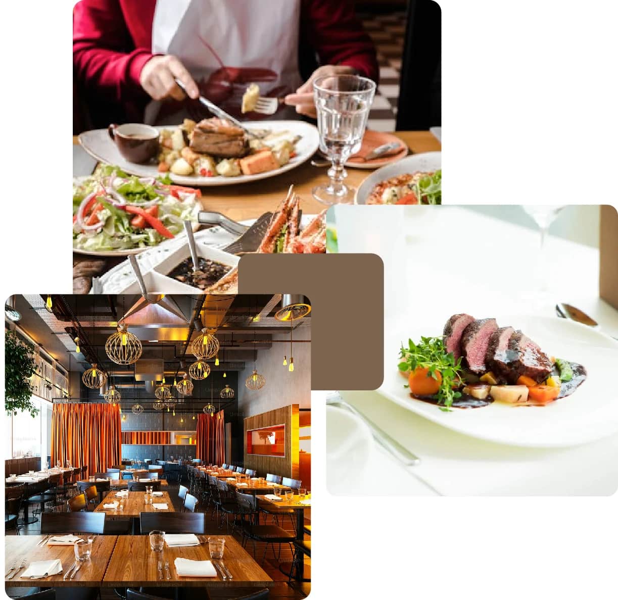 Gourmet dishes and elegant restaurant interior