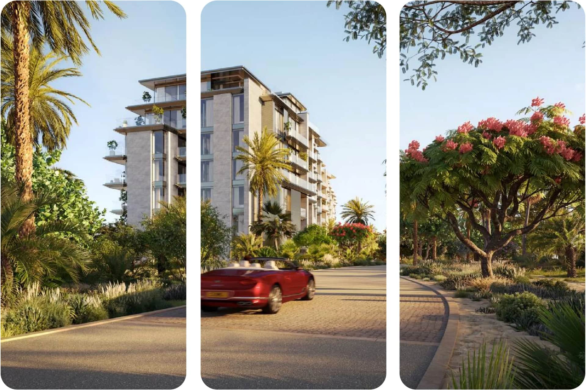 Luxury apartment building with palm trees and a car