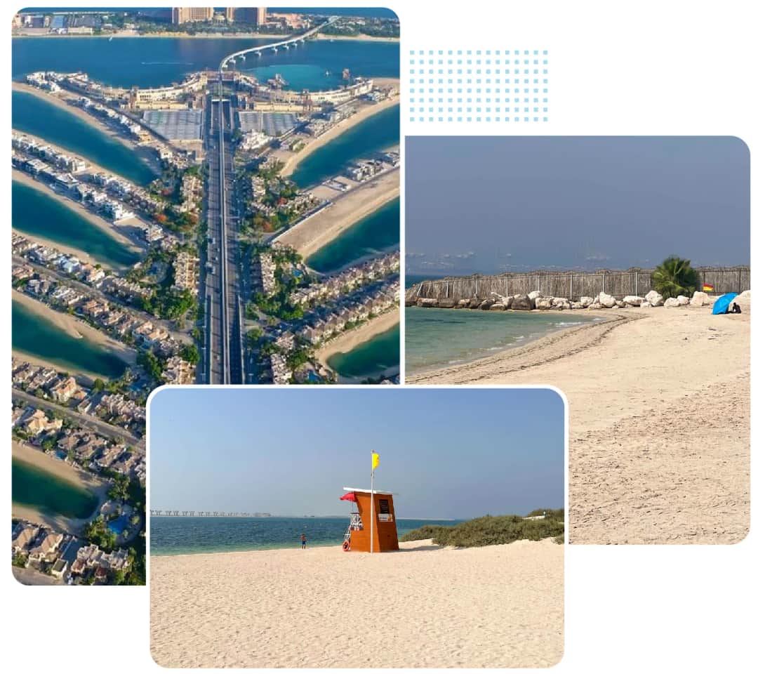 أراضٍ للبيع في نخلة جبل علي